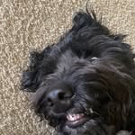 Rory hogan miles - @rorymiles44 - Instagram