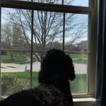 Rory miles - @scout.androry - Instagram