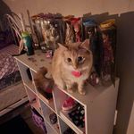 Rory Monroe - @lor3ast - Instagram