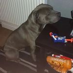 Rory Phillips - @rorycheese - Instagram