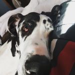 Rory Phillips - @roryphillips2 - Instagram