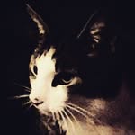rory power breen - @rorypowerbeenzy - Instagram
