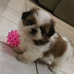Rory Ramos Nunes - @rory_mysweet - Instagram
