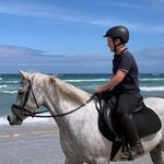 🇦🇺 Rory Roberts 🇦🇺 - @showjumping.louey - Instagram