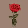 Rory Roberts - @rory.roberts2.0 - TikTok