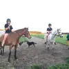 Rory Roberts - @rory.rob - TikTok