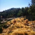 RORY - @rory_steele__4vz - Instagram