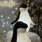 Rory Turner - Facebook