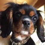 Rory Vaughan - @roryfromwashington - Instagram