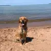rory warden - @rory.warden - TikTok