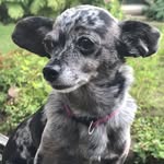 Rory - @rorysweetpeaweaver - Instagram