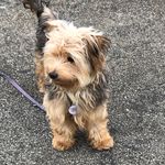 Rory Weaver - @itsaguildthing - Instagram
