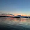 𝓡𝓸𝓻𝔂 𝓜𝓪𝓻𝓲𝓪 - @rory.weber - TikTok