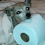 Rory Wertz - Facebook