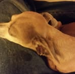 Rory Wertz - Facebook