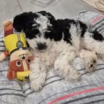 Ros Wilson - @ros.wilson.108 - Instagram