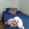 Ros Wilson - @ros.wilson5 - TikTok