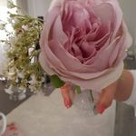 Rosa Adams - @rosa.adams.96387 - Instagram