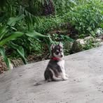 Rosa Alejandro - Facebook