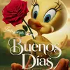 rosaalejos92 - @rosaalejos92 - TikTok
