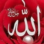 Rosa ali - Facebook