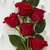 Rosa Ali - @rosaali01 - TikTok