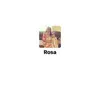 Rosa Allison - @rosaallison7 - TikTok