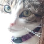 Rosa Amarante - @robusrosa - Instagram