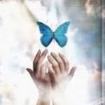 Maria Rosa Ancona Sauri - @mariarosa5377 - Instagram