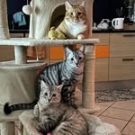 Rosa Ancona - @rosy3p_d_t_ - Instagram