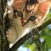 Rosa Aranda - Facebook
