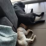 Rosa_Archer - @rosa.and.archer - Instagram