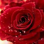 Rosa Estela Márquez Arechiga - @marquez_rosa - Instagram