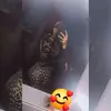 𝓡𝓸𝓼𝓪 𝓐𝓻𝓶𝓮𝓷𝓽𝓪𝓪🦋 - @rosa.armenta6 - TikTok