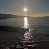 Rosa Auricchio - @rosa.auricchio - TikTok