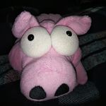 Bacon - @my_rosa_bacon - Instagram