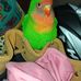 Rosa Badillo - Facebook
