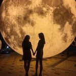 @rosa_baerlensis - Instagram