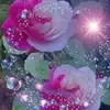 Rosa Balboa Mamani - @rosabalboamamani - TikTok
