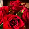 Rosalinda Balboa - @rosalindabalboa0 - TikTok
