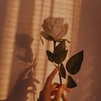 Rosa Ball - Facebook