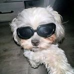 Rose Baran - Facebook