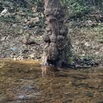 Rosa Maria Gallardo Barea - @rosi.gb13 - Instagram