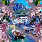 Rosa Barry - Facebook