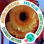 Rosa Basurto - @basurto438 - Instagram