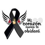 Rosa Maria Zambrano Basurto - @rosamariazambranobasurto - Instagram
