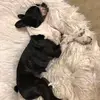 I’m watching you. - @rosa.bates - TikTok