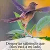 Rosa Batres - @rosa.batres7 - TikTok