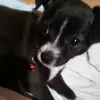 RosaBatres6382 - @rosabatres6382 - TikTok