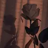 RosaBatres76 - @rosabatres76 - TikTok